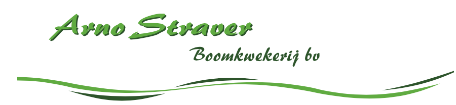 https://www.feestweekveen.nl/wp-content/uploads/2023/05/Scherm­afbeelding-2023-05-31-om-21.19.20.png