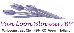 https://www.feestweekveen.nl/wp-content/uploads/2023/05/VanLoonBloemen.jpg